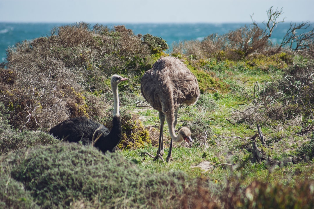 Nieodkryte rezerwaty przyrody: skarby natury oczekujące na odkrycie 7 Photo nature reserves